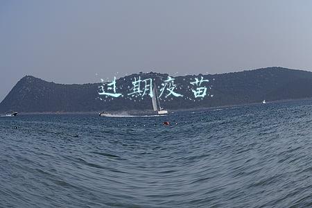 过期疫苗