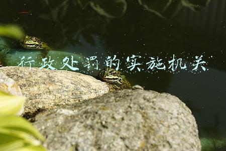行政处罚的实施机关