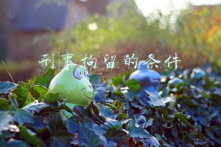 刑事拘留的条件