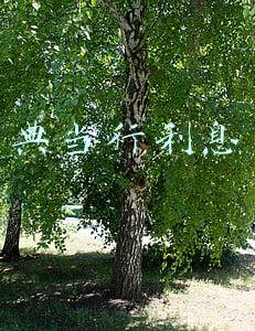 典当行利息