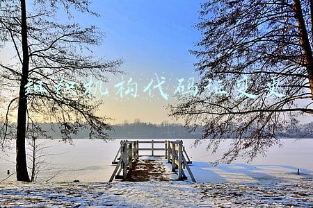 组织机构代码证变更