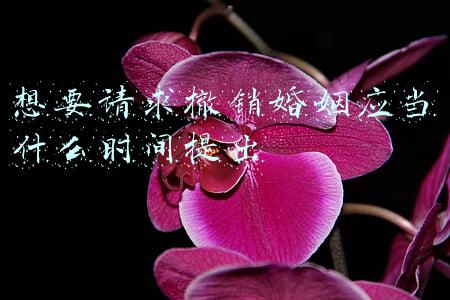 想要请求撤销婚姻应当什么时间提出自知道(婚恋中的这些事，看看法律怎么说)