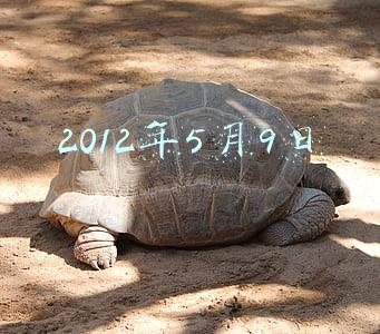 2012年5月9日