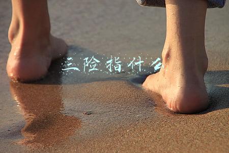 三险指什么