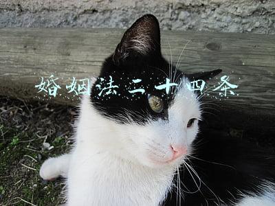 婚姻法二十四条