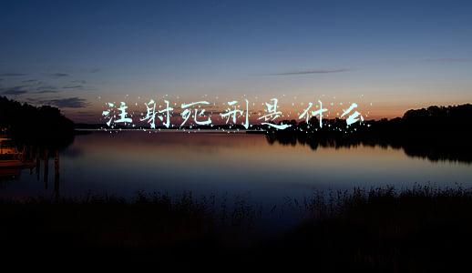 注射死刑是什么