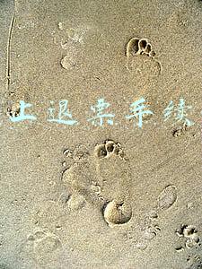 网上退票手续费
