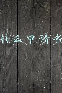 会计转正申请书范文