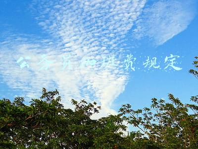 公务员加班费规定