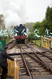 养老保险停交怎么办