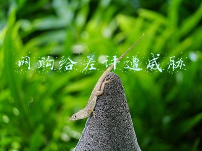 网上购物给差评受到威胁(锦州网警提醒：网购差评遭威胁怎么办)