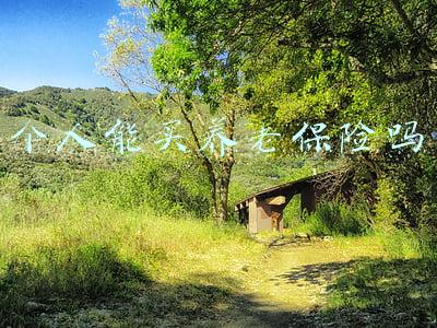 个人能买养老保险吗