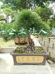 上海企业法人查询