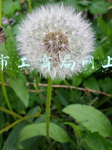 沈阳市工商局网上年检