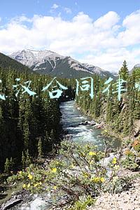 武汉合同律师