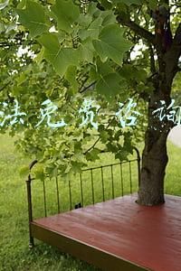 劳动法免费咨询电话