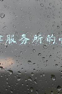 法律服务所的性质