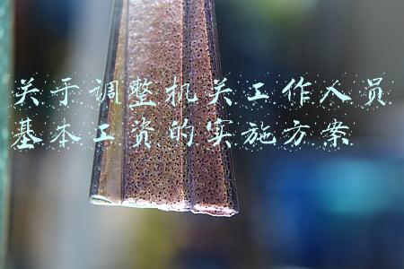 关于调整机关工作人员基本工资标准的实施方案2020(2022年机关事业单位会调整工资吗？)