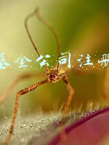 基金公司注册