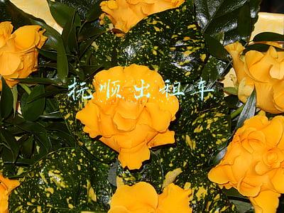 抚顺出租车手续出售(夜间突击稽查 两台“黑”出租车被查处)