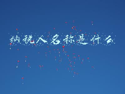 纳税人名称是什么