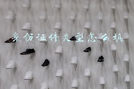 身份证件类型怎么填