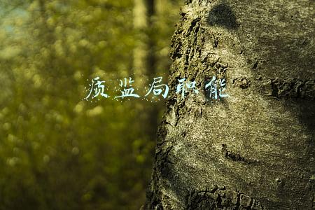 质监局职能