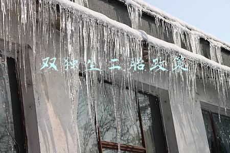 双独生二胎政策