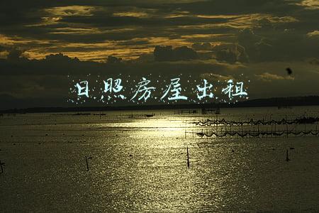 日照房屋出租价格(山东日照今年首批63套公租房配租 年租最低645元)