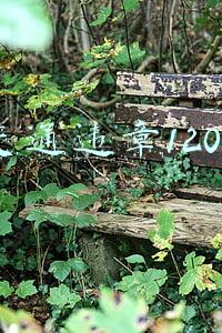 交通违章1208