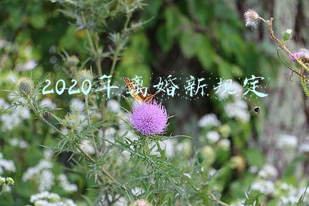 2020年离婚新规定