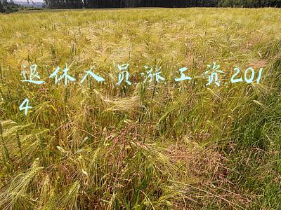 退休人员涨工资2014