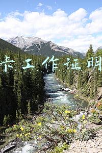 信用卡工作证明格式