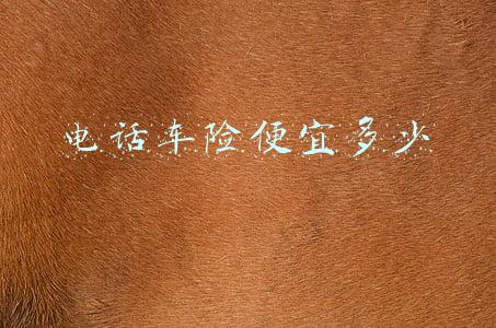 电话车险便宜多少