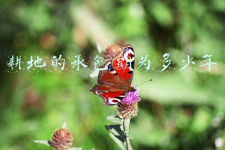 耕地的承包期为多少年草地的承包期为30年至50年(耕地承包期限届满延长三十年，委员建议草地林地也予以明确)