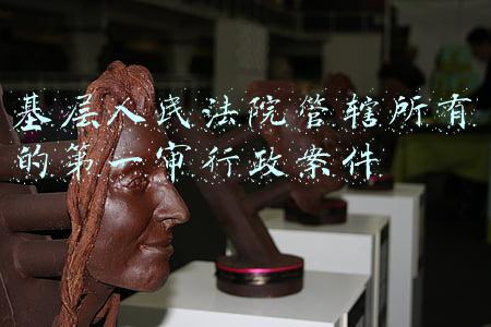 基层人民法院管辖所有的第一审行政案件