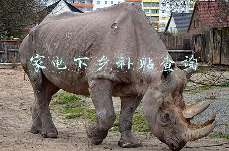 家电下乡补贴查询