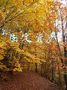 固定资产