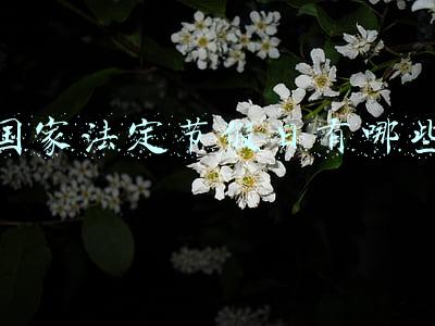 国家法定节假日有哪些