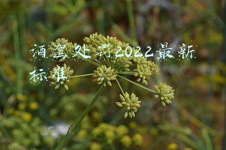 酒驾处罚2022最新标准