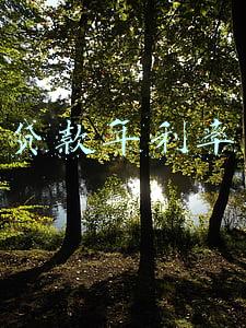 贷款年利率