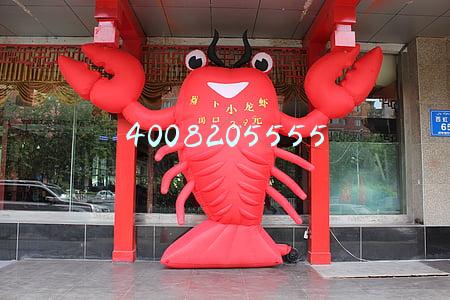 4008205555