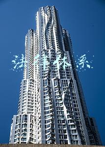 法律体系