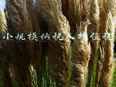 小规模纳税人增值税