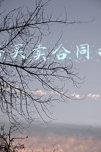 商品房买卖合同司法解释
