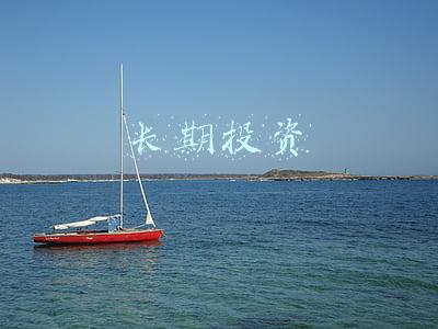 长期投资