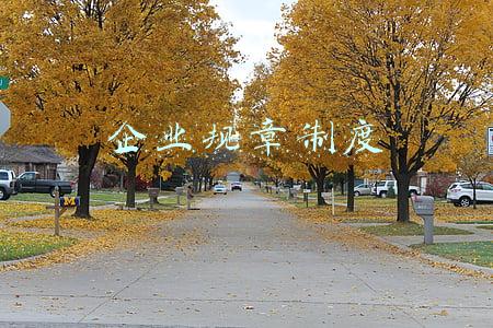 企业规章制度