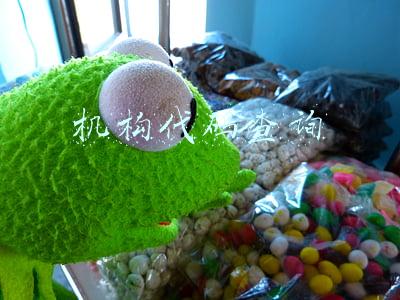 机构代码查询