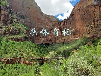 集体商标
