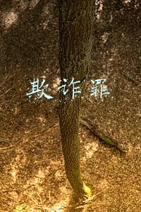 欺诈罪